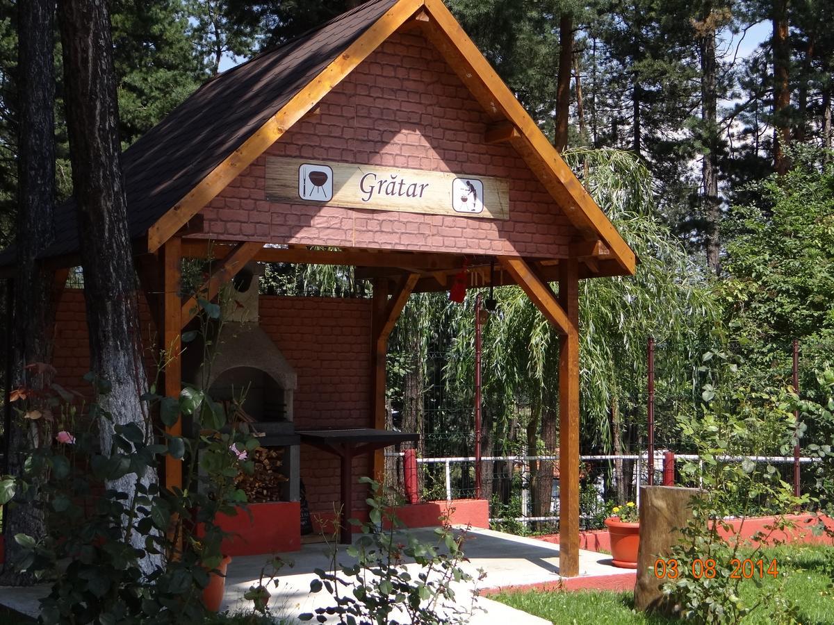 Cabana Pensiune La Brazi Вулкан Экстерьер фото